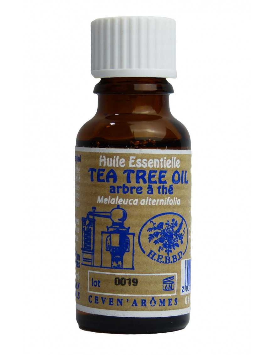 Huile essentielle de Tea Tree Huile essentielle de Tea Tree