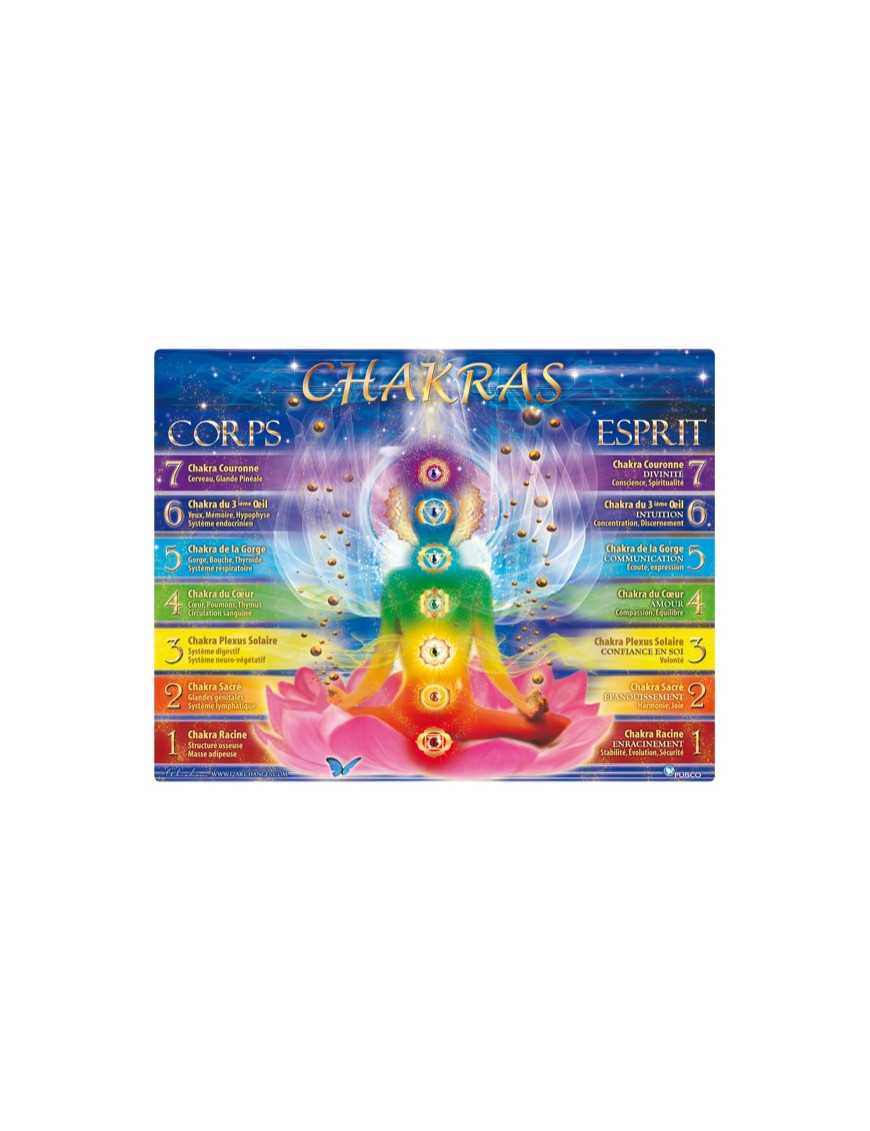 Planche des 7 chakras Planche des 7 chakras